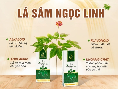 Lá sâm Ngọc Linh giả: Cách nhận biết và tránh mua nhầm